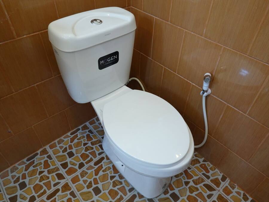 Toilet met een witte zitting en tank, voorzien van de tekst 'MOGEN', in een badkamer met bruine betegelde wanden en een mozaïek vloer.