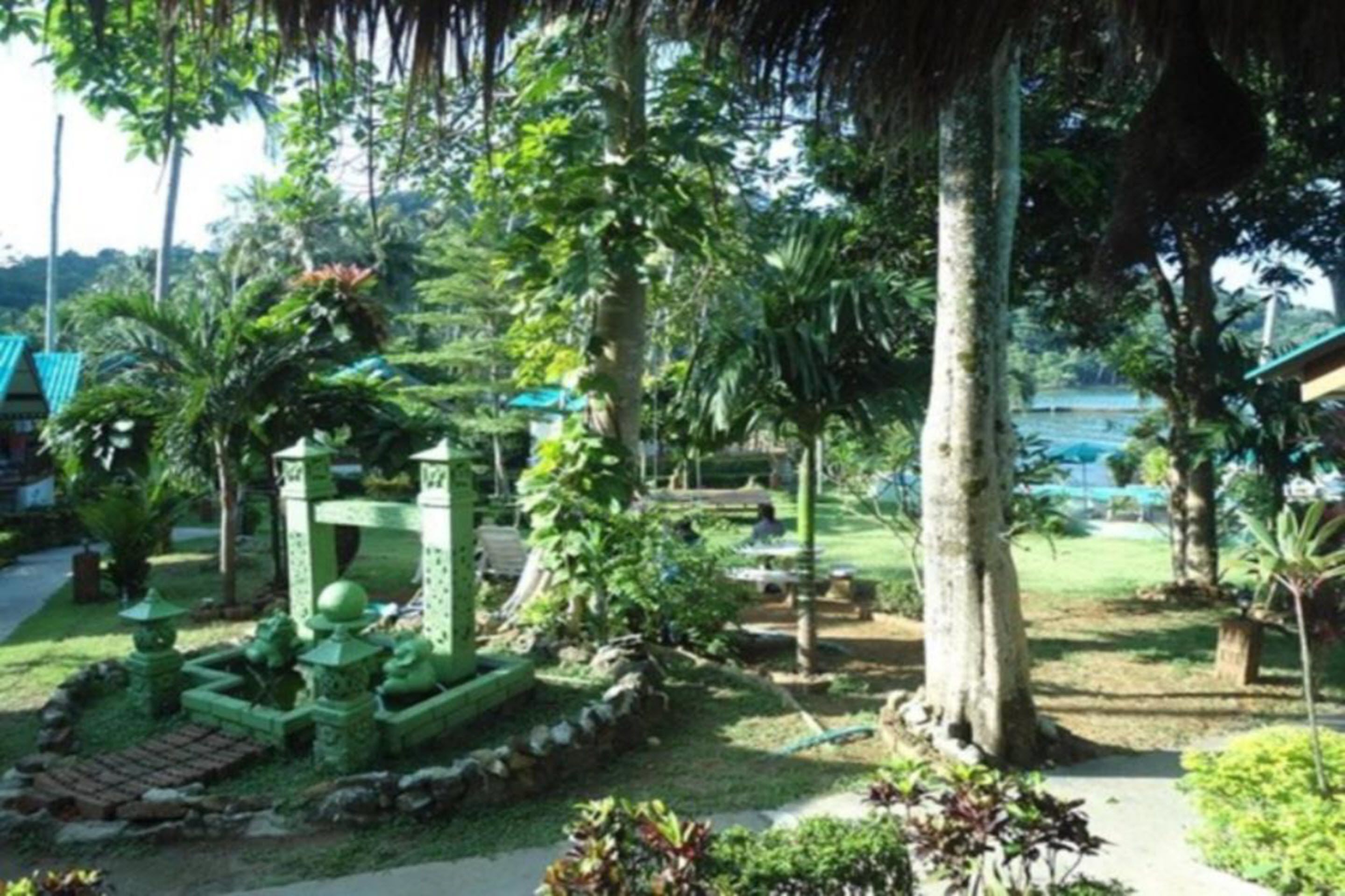 Un exuberante jardín con una fuente central, rodeado de diversas plantas y árboles.
