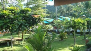 Un jardin luxuriant, agrémenté de diverses plantes tropicales et doté d’une terrasse en bois.