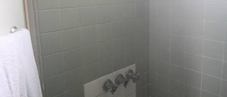 Une salle de bain équipée d’une baignoire, d’une douche et d’un porte-serviettes.