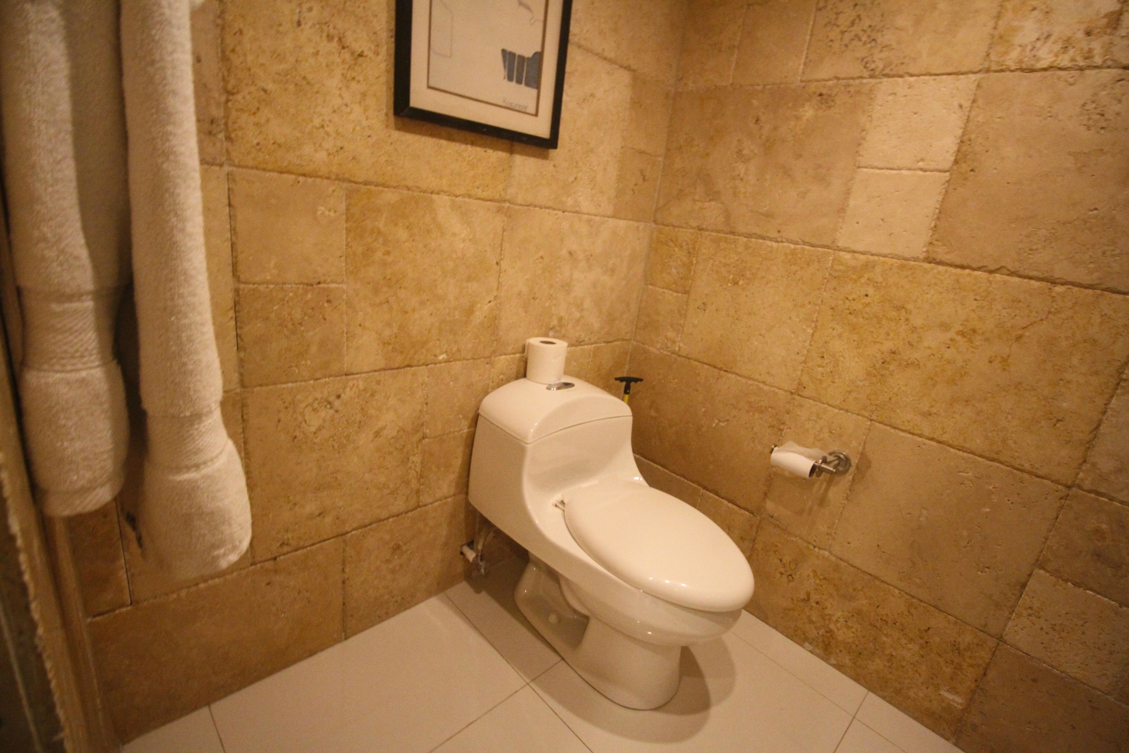 A bathroom with a toilet, a towel rack, and a framed picture on the wall.