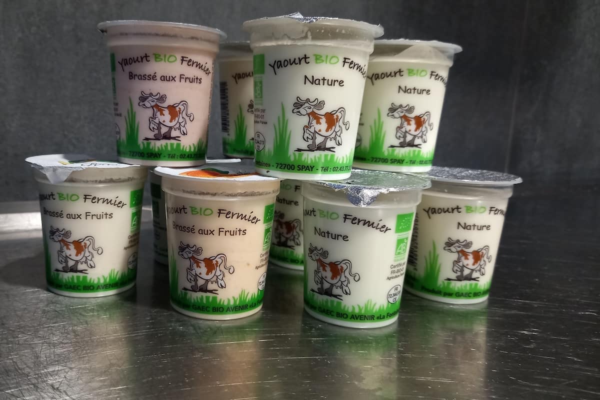 daily buffet breakfast (eur 13.90 per person)