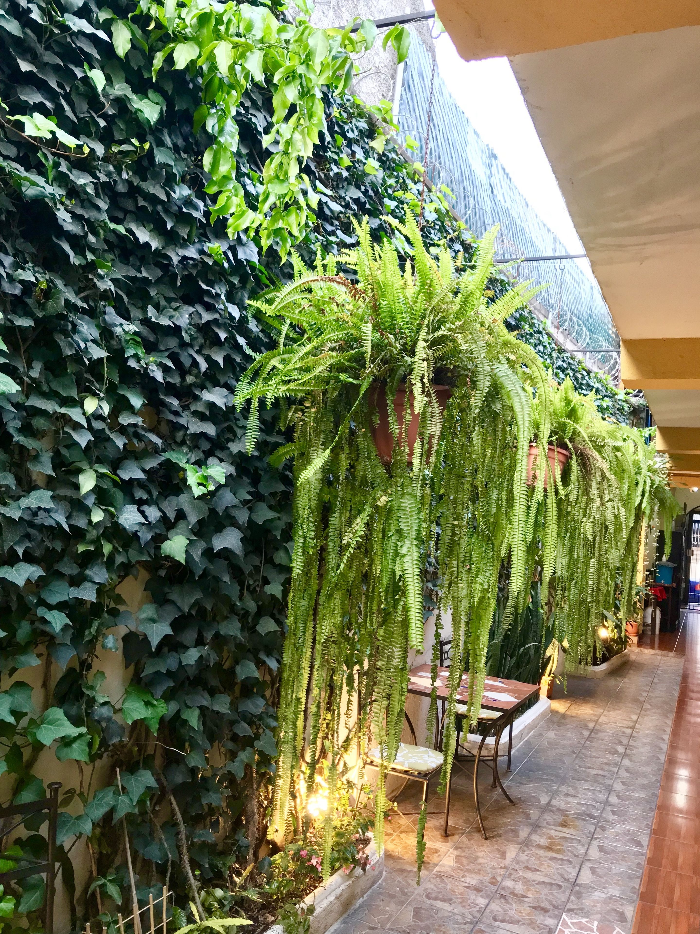 Foto - Hostal Antigua