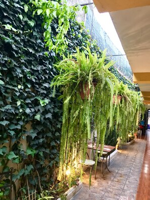 Un patio con una pared cubierta de hiedra y helechos colgantes, piso de baldosas y una mesa con sillas.