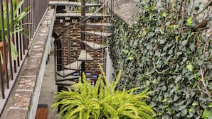 Un estrecho pasillo exterior con una escalera, un helecho en maceta y una pared cubierta de hiedra.