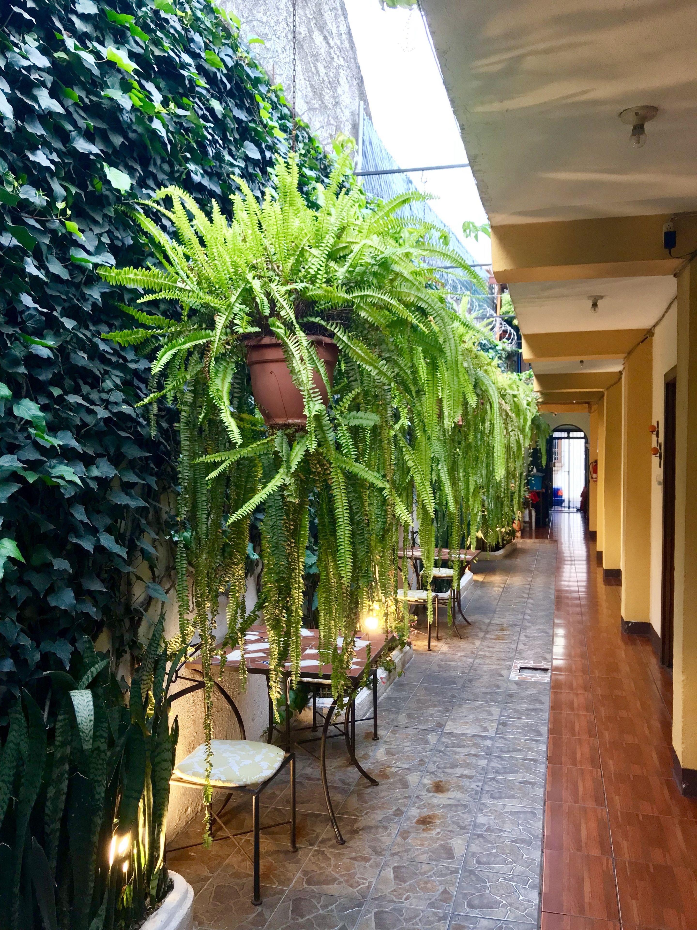 Habitación doble, 1 cama doble, baño privado, en la zona del patio | Vistas desde la habitación