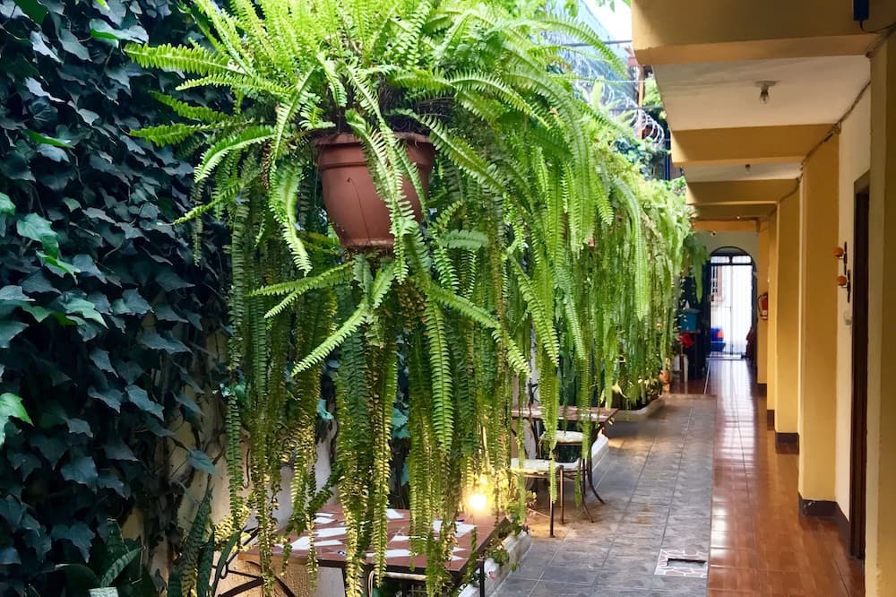 Hostal Antigua - Hostel