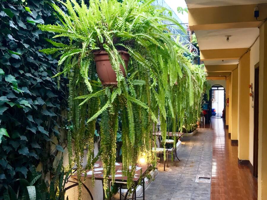 Kahden hengen huone, 1 parisÀnky, oma kylpyhuone, piha-alue | NÀkymÀ huoneesta