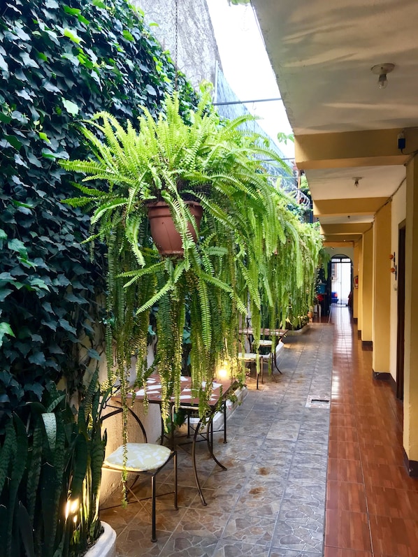 Double Room, 1 Double Bed, Private Bathroom, Courtyard Area | View from room