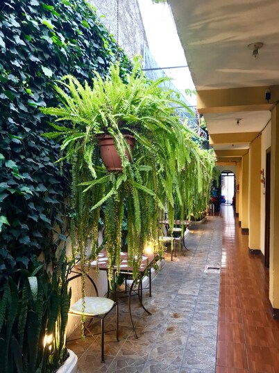 Hostal Antigua - Hostel