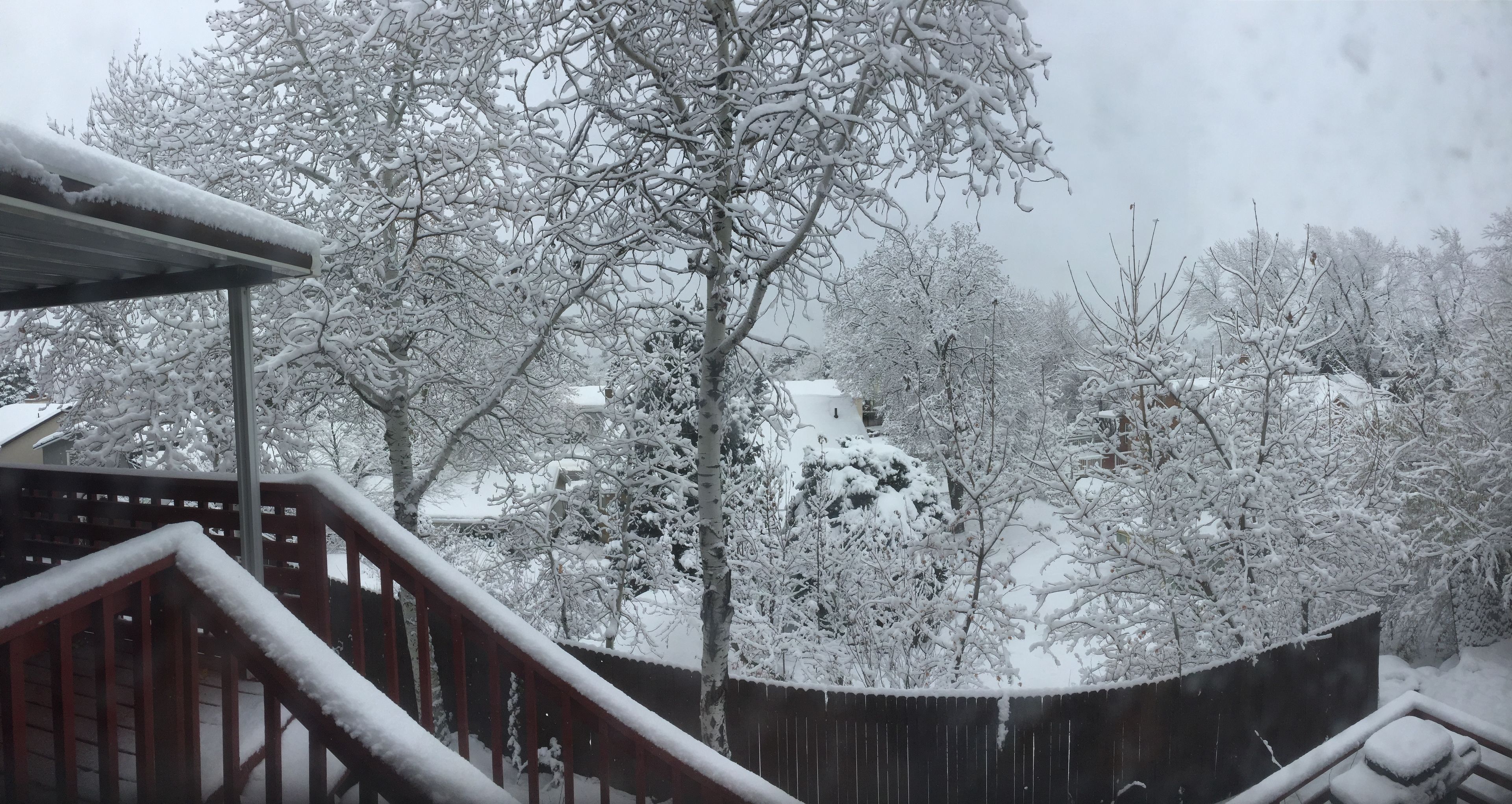 A snowy outdoor scene with a wooden fence and snow-covered trees.