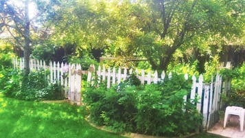 Jardín