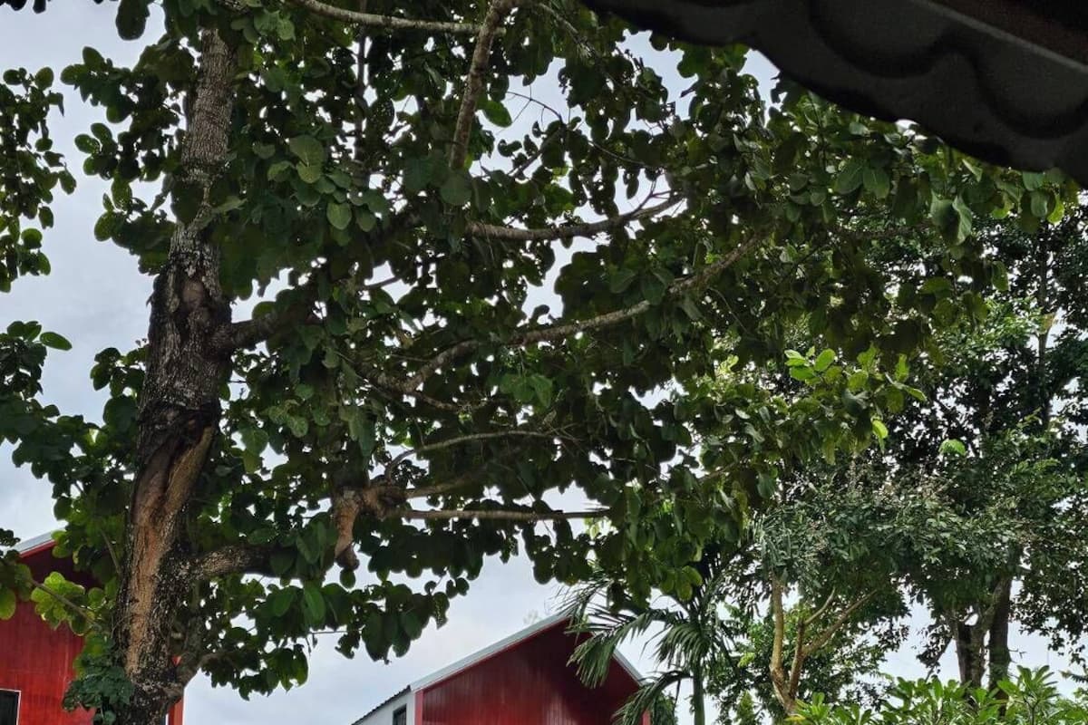 Balcony River View | Cortinas blackout y wifi gratis