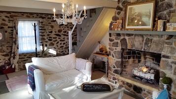 TV, fireplace, books
