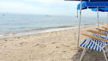Playa en los alrededores, camastros y toallas de playa