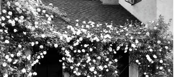 Westport "Gold Coast" across from Southport beach