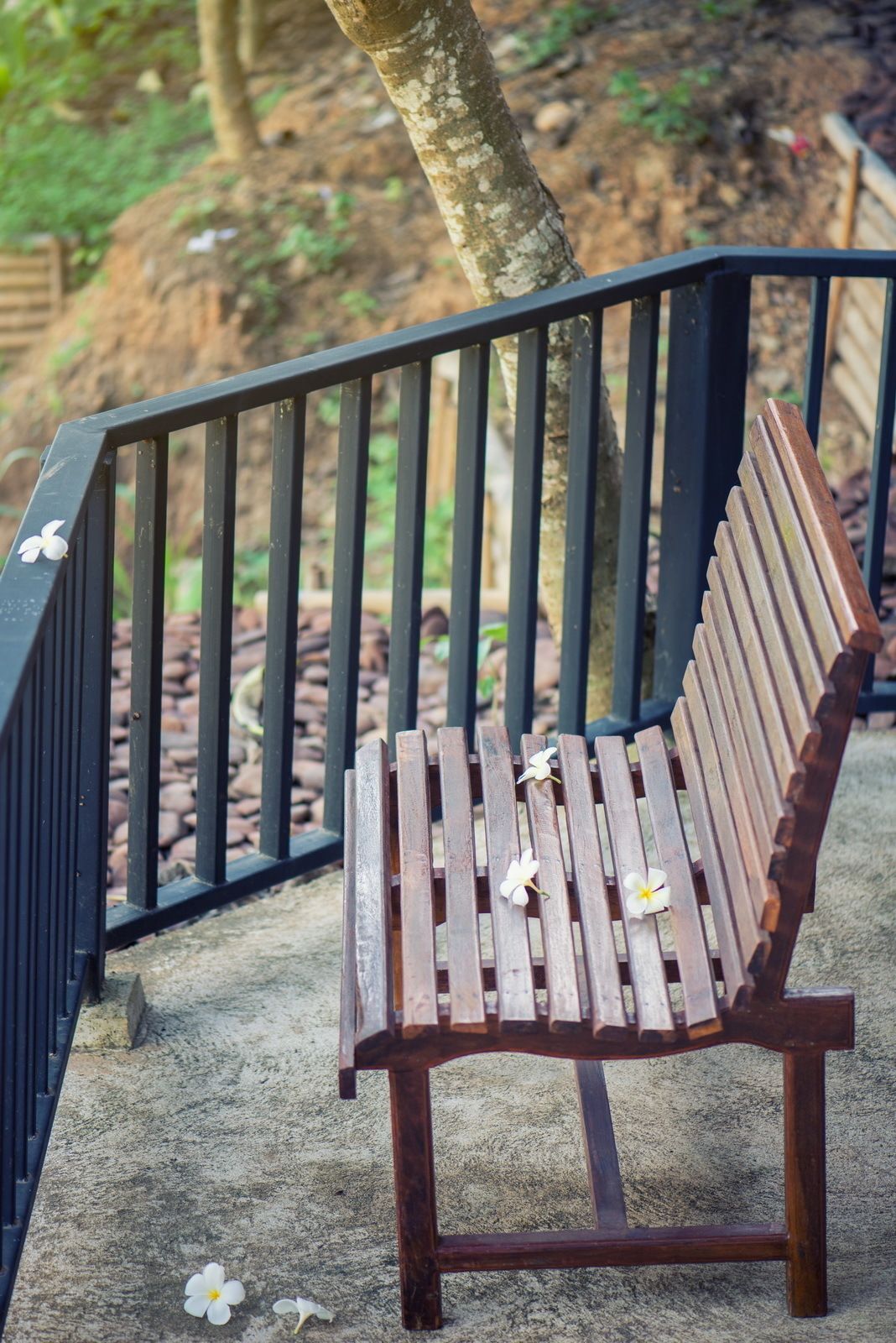 A wooden bench with a metal railing, positioned on a concrete surface with a tree and mulch in the background.