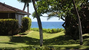 Ein Wohngebiet mit einem Haus, Palmen und Blick auf das Meer.