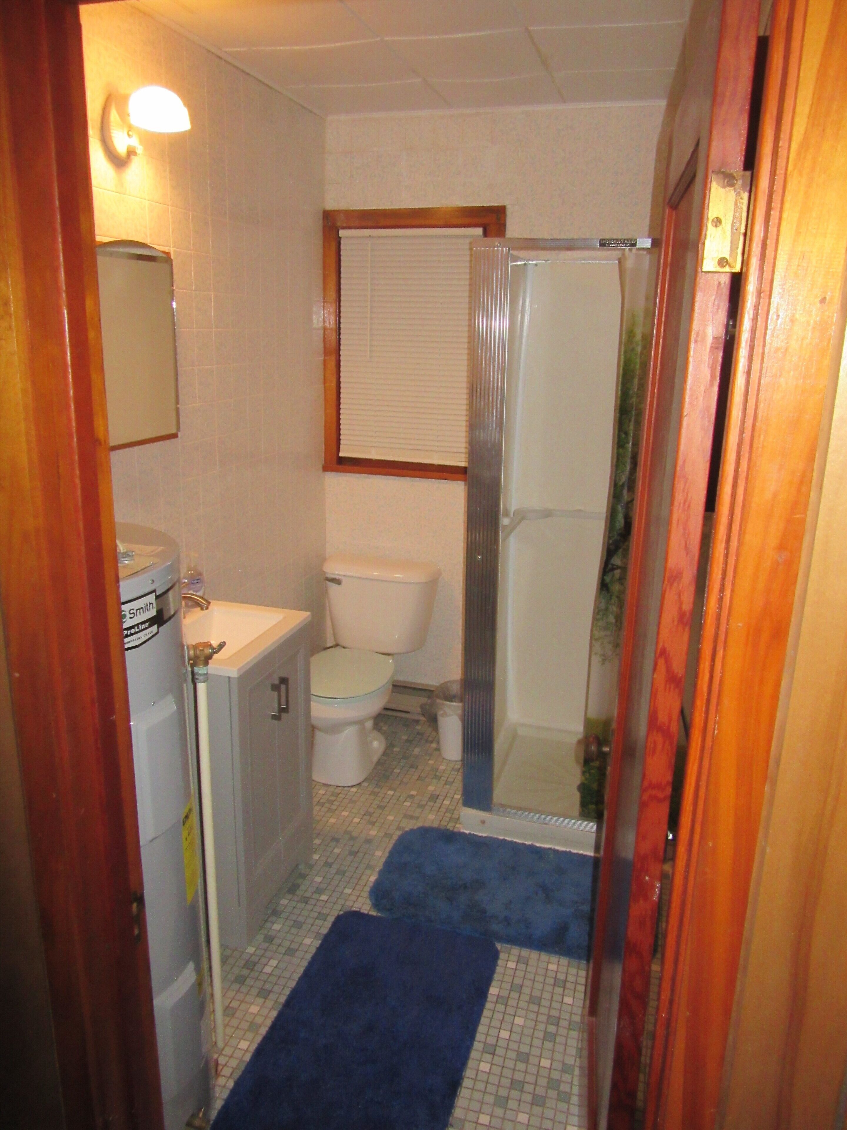Shower, towels, toilet paper
