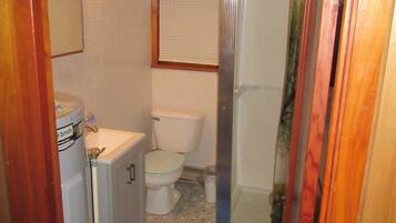 Shower, towels, toilet paper