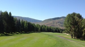 Ein Golfplatz mit blauem Himmel, saftigem Grün und Bäumen.