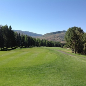 Golf - Eklhorn Village in Sun Valley-golf,ski,fish,hike,bike,swim,tennis,art,shop (Sun Valley)