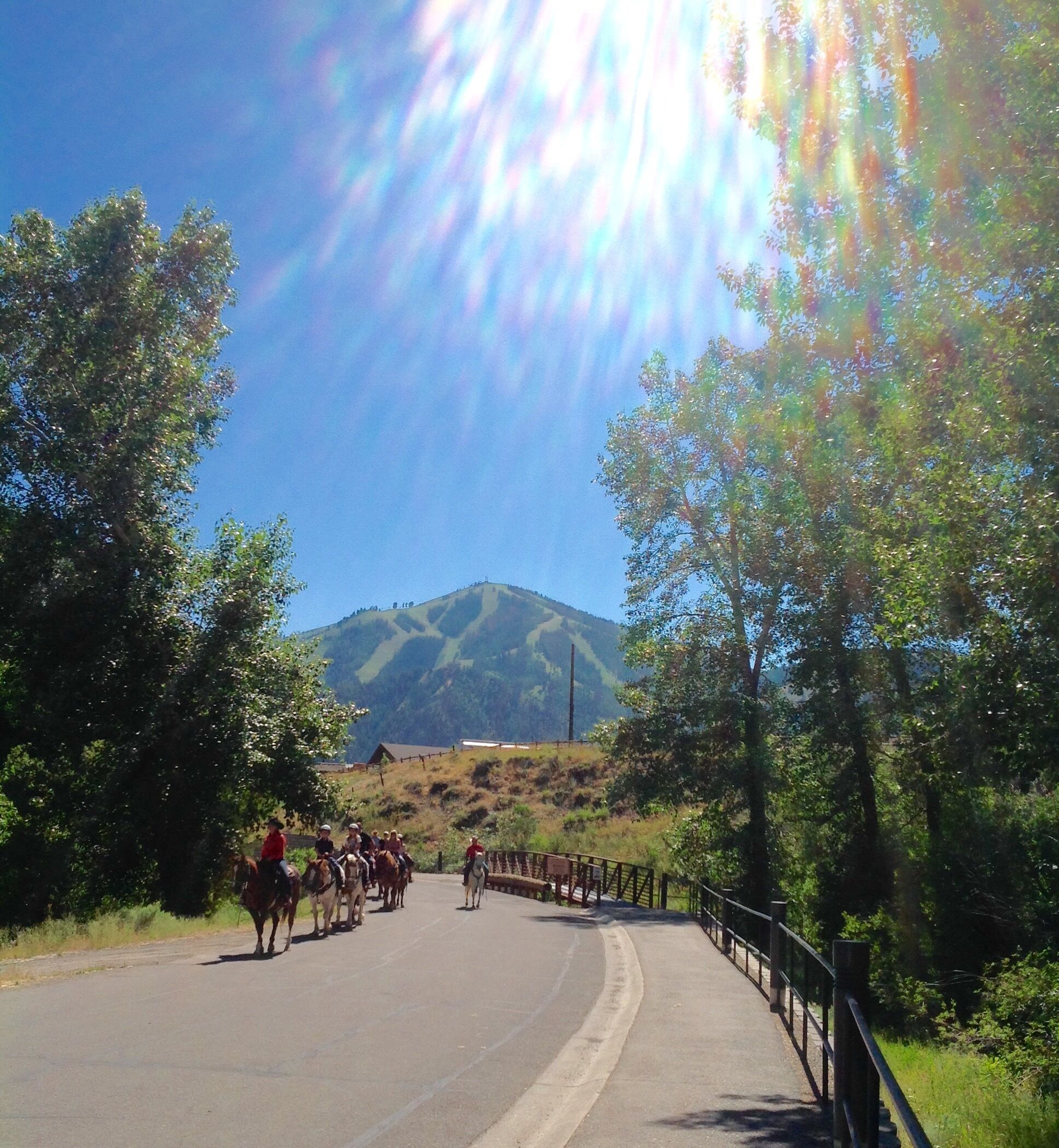 A paved road with a group of people riding horses, bordered by trees and a mountain in the background.