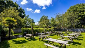 A grassy outdoor area with multiple wooden picnic tables arranged in rows.
