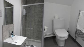 A modern bathroom with a glass shower enclosure, a white sink, and a toilet.