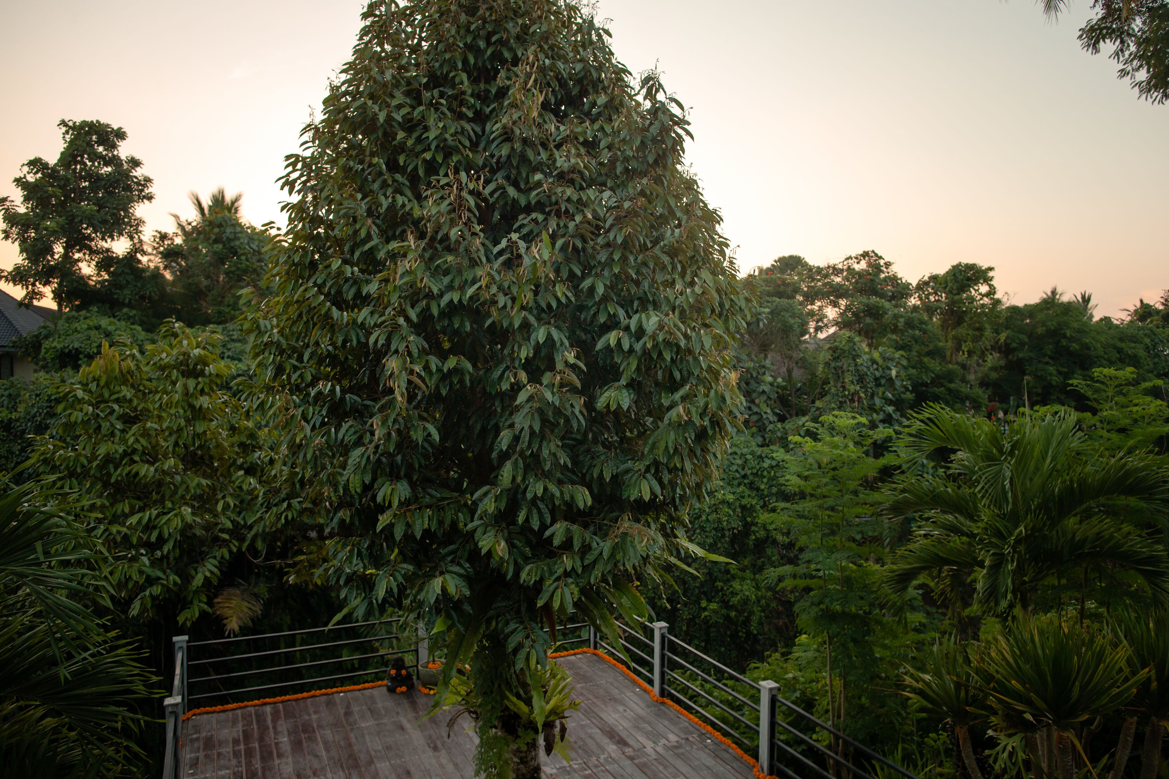 jure one-bedroom jungle view villa | 1 bedroom, premium bedding, desk, free wifi