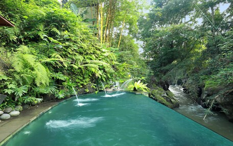 Una piscina rectangular de aguas cristalinas, rodeada de abundante vegetación y bambú.
