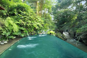 A rectangular pool with clear water, surrounded by lush greenery and bamboo. - SereS Springs Resort & Spa Singakerta (Ubud)