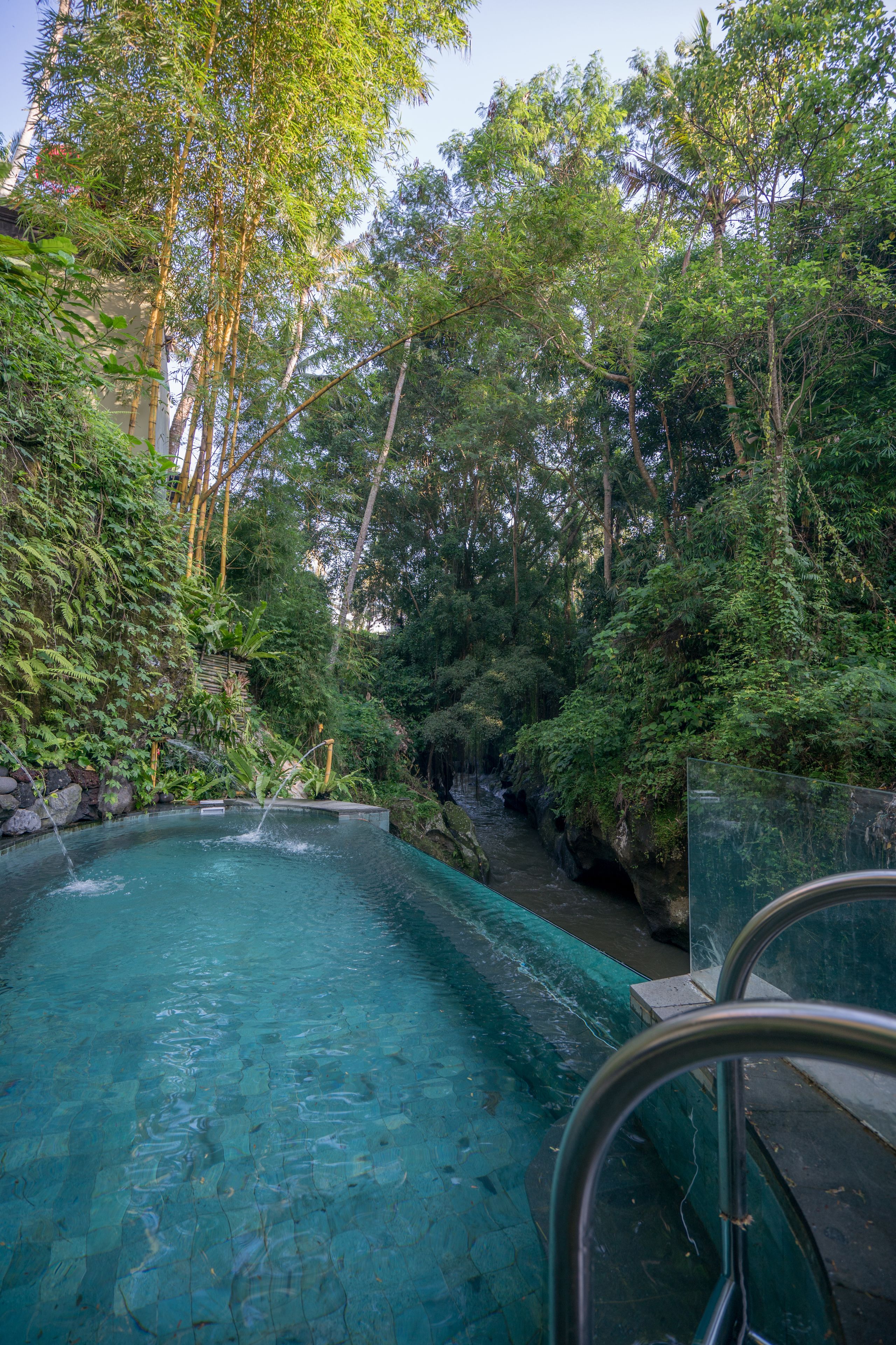Une piscine aux eaux cristallines, entourée d’une végétation luxuriante et de bambous.