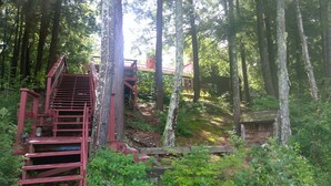A wooden staircase leading up a forested hill, surrounded by tall trees and dense underbrush.