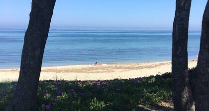 Villa dans résidence avec piscine, tennis et direct à la plage en Corse