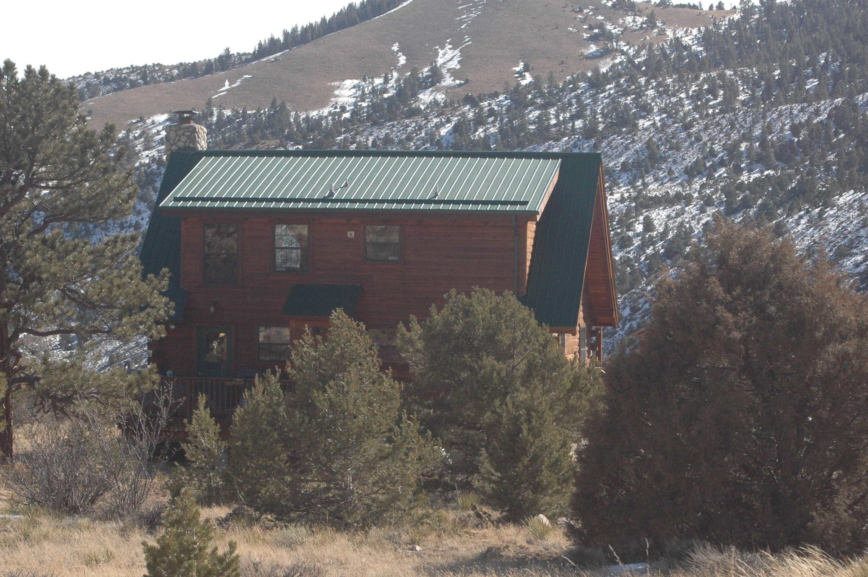 Una cabaña de troncos con techo verde, rodeada de árboles y una montaña nevada al fondo.