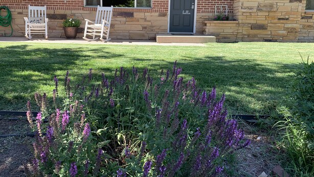 A brick house with a front porch, two rocking chairs, and a garden with purple flowers. - Center of Kanab! Inviting, clean & spacious (Kanab)