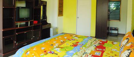 Un dormitorio con cama, televisor, armario y puerta.