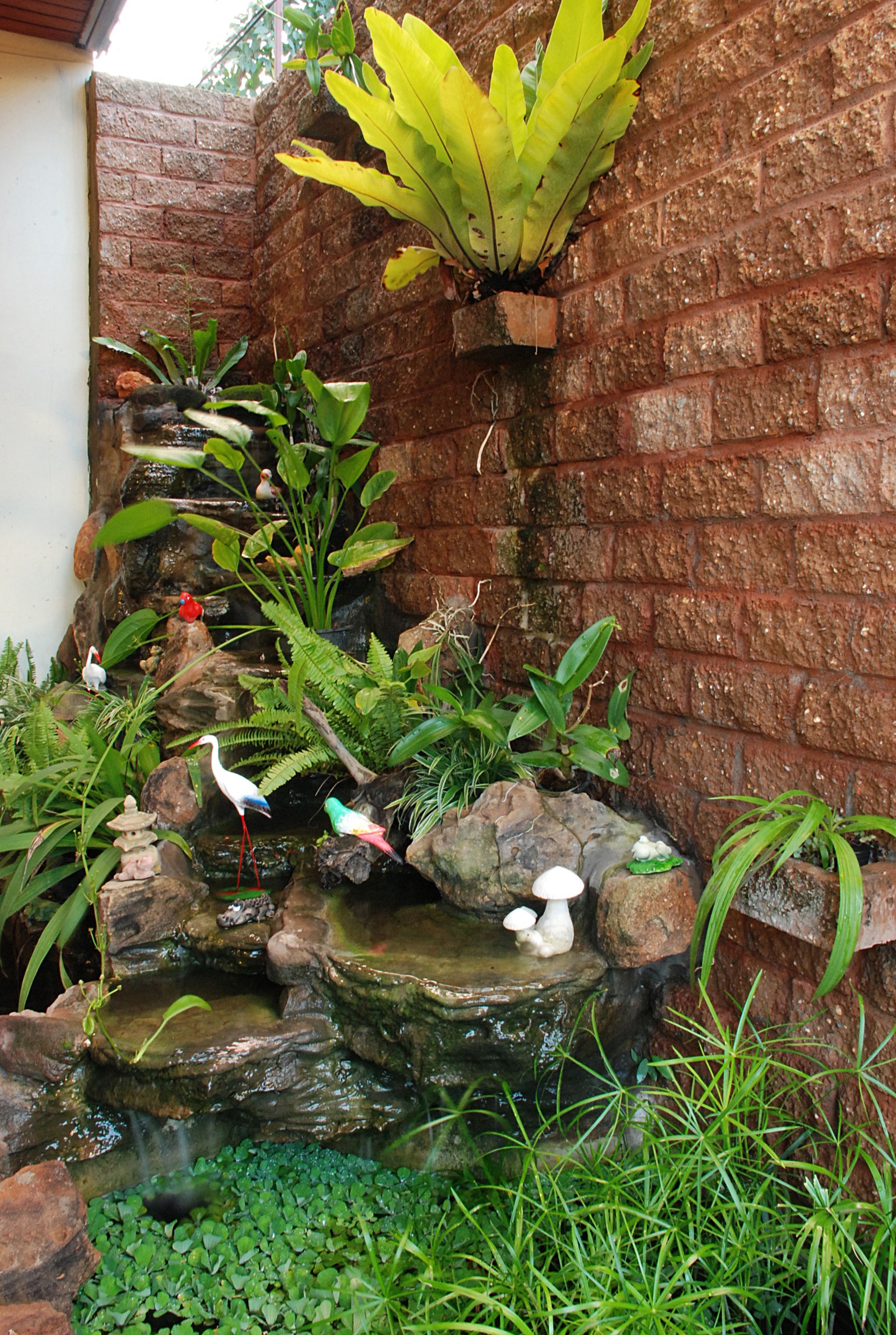 A small garden with a pond, rocks, and various plants.