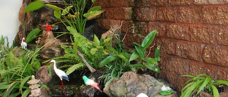 A small garden with a pond, rocks, and various plants.