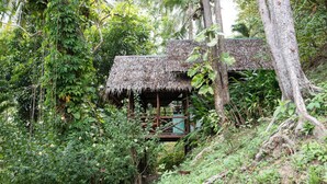 Una estructura rústica de madera con techo de paja, rodeada de frondosos follajes tropicales.