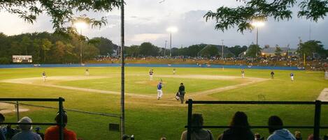 Ein Baseballspiel ist im Stadion im Gange, mit zahlreichen Zuschauern auf den Tribünen.