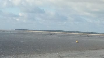 Plage, chaises longues