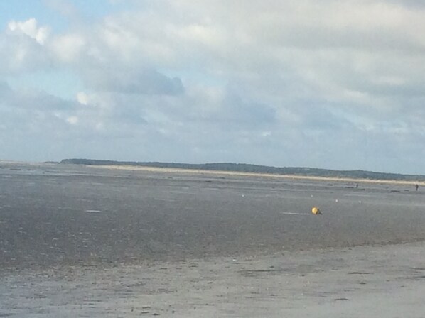 En la playa y camastros 