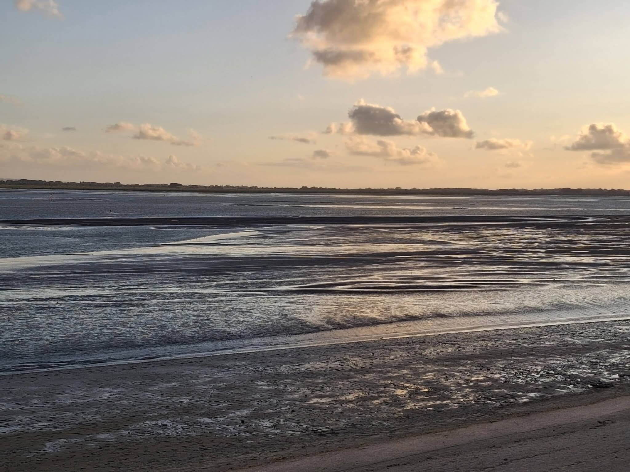 Une vue d’ensemble d’une plage, avec un horizon plat et une rangée d’arbres à l’arrière-plan.