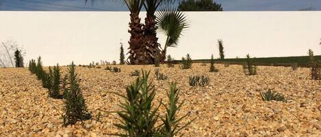 Terrein van de accommodatie