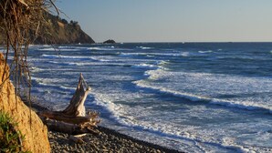 Une côte rocheuse où les vagues s’écrasent sur la plage, un tronc d’arbre échoué et un affleurement rocheux visible au loin.