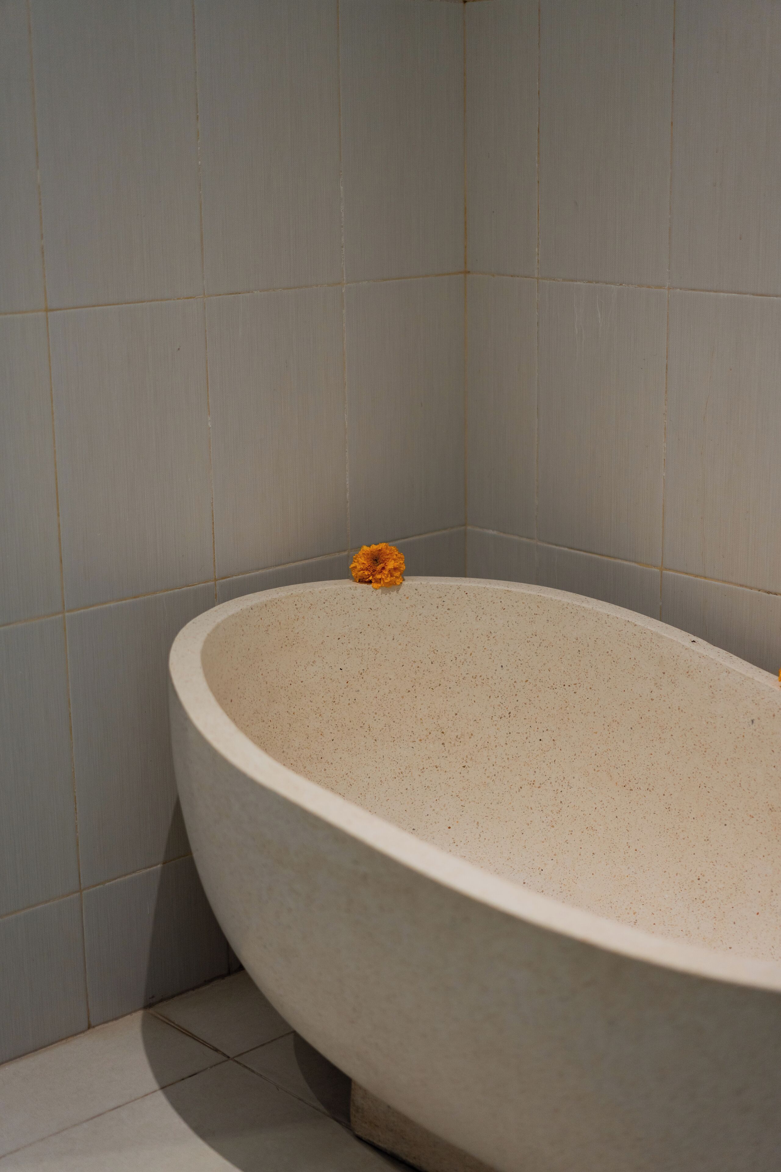 Uma banheira com uma única flor na borda.