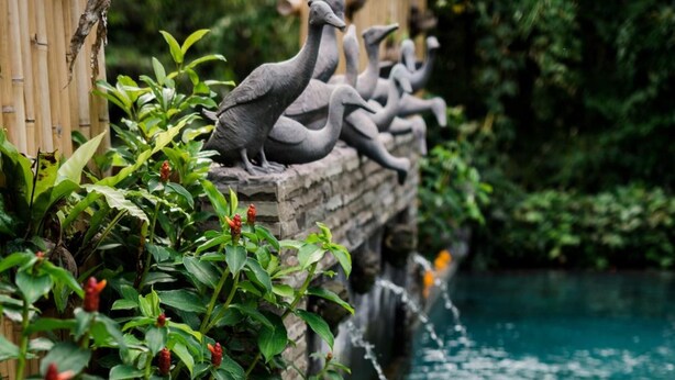 A poolside dining setup with a table, plates, and drinks. - Desak Putu Putra Hidden (Ubud)