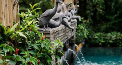 Desak Putu Putra Hidden